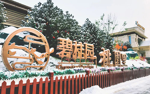 石家庄.碧桂园桃源里.jpg